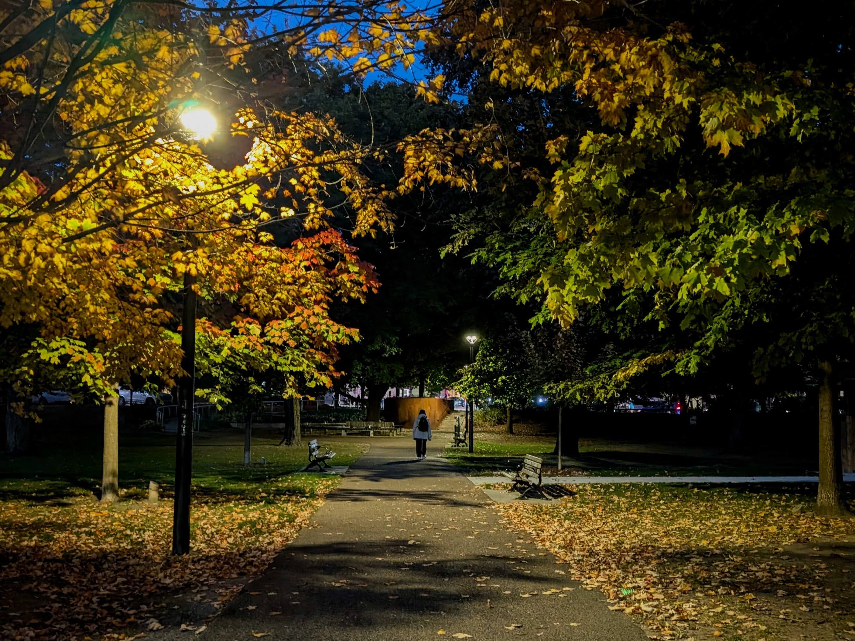 Fall colors